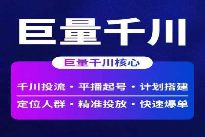案例解析：竞价代运营如何实现高效广告投放